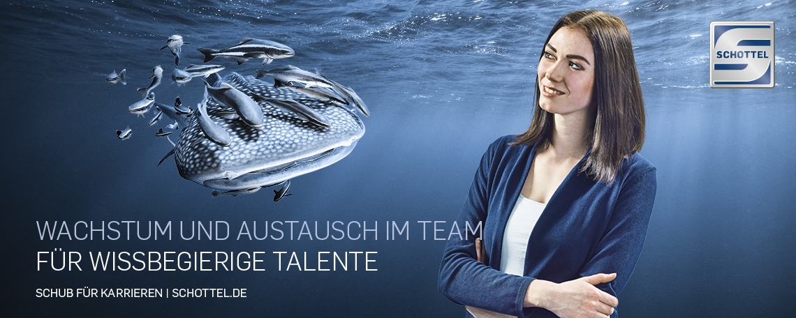 Praktikum in der IT, 1. Bild